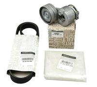 Set tenditore cinghia trasmissione originale Renault Megane II (7PK1127) 7701...