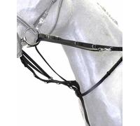 Set tiderman da addestramento con redini e pettorale Sartore