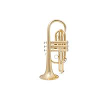Set Tromba Cornetta In Sib Tromba In Ottone Strumento Musicale Internazionale Con Custodia Strumento Tromba Per Principianti(Light green)