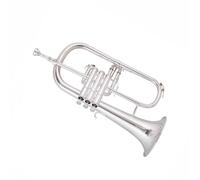 Set Tromba Flicorno In Si Bemolle Strumento Tromba A Tre Tasti Strumento Professionale Ottone Acciaio Inossidabile Professionale(Silver)
