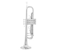 Set Tromba In Sib Tromba Standard In Ottone Per Principianti Con Custodia Rigida(Silver)