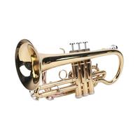 Set Tromba Sib, Trombe Principiante Studente Avanzato Con Scatola Per Tromba Panno Per Pulizia Tracolle Bocchino, Strumento Orchestrale Tromba D'oro Per Principianti