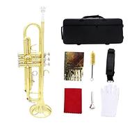 Set Tromba Standard in SIB, con Custodia Rigida, Kit di Pulizia, Bocchino, Panno E Guanti, Ottoni for Adulti Che Suonano Strumenti A Fiato Occidentali, for Principianti, Bambini E Adulti (Color : Gol