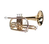 Set Tromba Standard Sib, Kit Pulizia Tromba, Strumento Orchestrale Tromba Dorata con Rivestimento Antiurto Integrato, Kit Tromba Sib per Professionisti Principianti