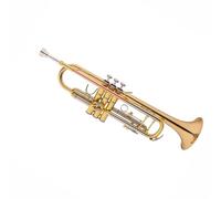 Set Tromba Tromba Strumento Si Bemolle Rame Fosforoso Rame Bianco Tubo Variabile Ottone Professionale Acciaio Inossidabile Suono Ricco