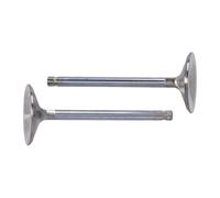 Set valvole aspirazione Race Master STD 84-99 Evo 99-04 Twin Cam Manley