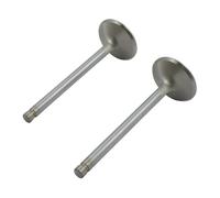 Set valvole scarico Race Master STD 99-04 Twin Cam 1,565 Manley