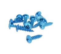 Set Viti 12 pezzi travestimento blu - 5 X 20