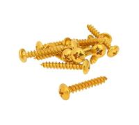 Set Viti 12 pezzi travestimento Gold - 5 X 30