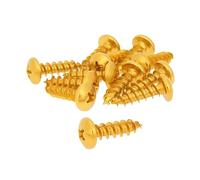 Set Viti 12 pezzi travestimento Gold - 6 X 20