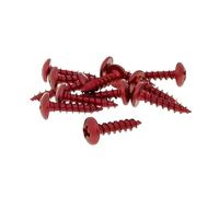 Set Viti 12 pezzi travestimento rosso - 5 X 20
