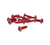 Set Viti 12 pezzi travestimento rosso - 6 X 20