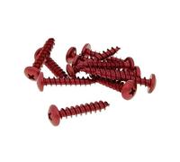 Set Viti 12 pezzi travestimento rosso - 6 X 30