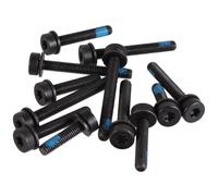Set Viti Flat Mount Magura Posteriore - Confezione Da 12