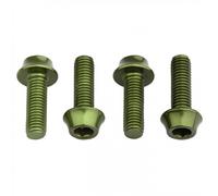 Set Viti Portaborraccia Bici 4pz Alluminio Verde Leggere Resistenti