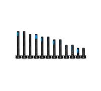 SET VITI RUOTA POSTERIORE FLATMOUNT MAGURA