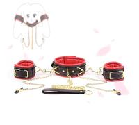 Set yoga in pelle con collare a clip con catena di trazione in metallo, regolabile, rimovibile, gioco multiuso (nero e rosso)