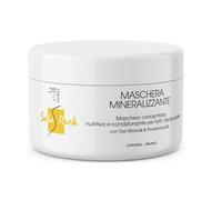 SETA PACK - Maschera capelli, Maschera capelli Ristrutturante, ai Sali Minerali e Pro-Vitamina B5 - Ristrutturante per Capelli Secchi e Danneggiati - Maschera 500ml