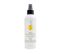 SETA PACK - Siero Ristrutturante Capelli Donna - Spray Mineralizzante al The Verde - Ricostruzione Capelli Danneggiati - Risultati in due settimane (200 ml)