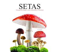 Setas: Una Guía de Hongos y Setas Comestibles y Venenosas: 1