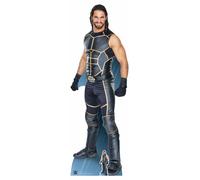 Seth Rollins Wwe Lifesize E Mini Cartone Ritaglio/Stand-Up/IN Piedi Wrestler