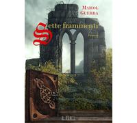 Sette frammenti - Guerra Maicol