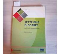 Sette paia di scarpe. Storia di un'assistente sociale