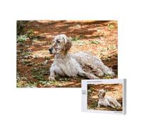 Setter inglese Autunno Animali Cani Inglese, Puzzle 1000 pezzi Puzzle in legno Giocattolo Gioco per famiglie Decorazione da parete per adulti Adolescenti