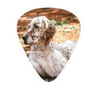 Setter inglese Autunno Animali domestici Cani Inglese,12 pezzi di plettri per chitarra, 3 plettri di diverso spessore per chitarra acustica, basso, ukulele