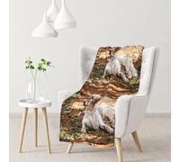 Setter inglese Autunno Animali domestici Cani Inglese,Coperta morbida, calda, anti-pilling, in flanella, peluche, 76 x 102 cm