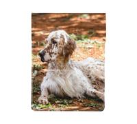 Setter inglese Autunno Animali domestici Cani Inglese, Custodia per laptop in pelle PU, borsa per notebook, custodia per laptop, custodia per tablet