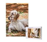 Setter inglese Autunno Animali domestici Cani Inglese,Puzzle in legno da 1000 pezzi per adulti e adolescenti