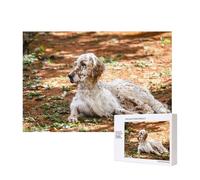 Setter inglese Autunno Animali domestici Cani Inglese,Puzzle in legno da 300 pezzi per famiglie, per adulti e adolescenti, decorazioni per la casa