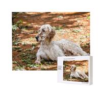 Setter inglese Autunno Animali domestici Cani Inglese,Puzzle in legno da 500 pezzi, gioco di famiglia, puzzle per adulti e adolescenti, decorazioni per la casa