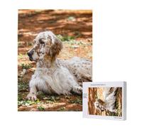 Setter inglese Autunno Animali domestici Cani Inglese,Puzzle in legno da 500 pezzi per adulti e adolescenti