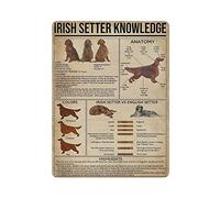 Setter irlandese Conoscenza Targa in metallo in metallo Opera d'arte Poster Targa per esterni Vintage Decor Targa Poster Cave Garage Pub Bar Cucina Decorazione per la casa 16 "x 12"