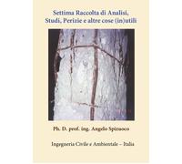 Settima raccolta di analisi, studi, perizie e altre cose (in)utili di Angelo Spi