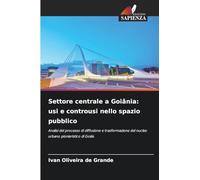 Settore centrale a Goiânia: usi e controusi nello spazio pubblico: Analisi del processo di diffusione e trasformazione del nucleo urbano pionieristico di Goiás