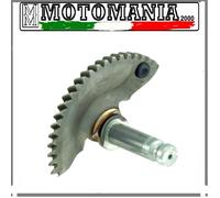 SETTORE MESSA IN MOTO GILERA RUNNER FX/FXR/TYPHOON 125CC/PIAGGIO HEXAGON 125