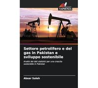 Settore petrolifero e del gas in Pakistan e sviluppo sostenibile: Analisi dei dati statistici per una crescita sostenibile in Pakistan