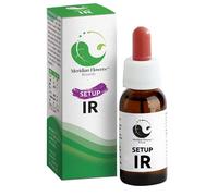 SETUP IR MERIDIAN FLOWERS REM