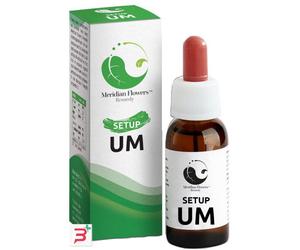 SETUP UM 10 ML MERIDIAN FLOWERS REMEDY