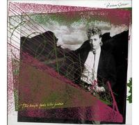 Brian Setzer - Knife Feels Like Jus