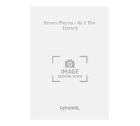 Seven Pieces - Nr 3 The Torrent - Buch