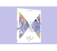 Seventeen - Your Choice