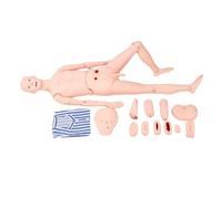 SEVOLY Modello di Anatomia Umana Maschile, manichino per la Formazione delle competenze infermieristiche, manichino Medico per la Formazione, manichino per la Formazione dell'assistenza ai pazienti