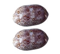 SEWOART 2 Pezzi Cowrie per Decorazioni e da Te Accessori per Decorazioni da e Casuali Colore Casuale