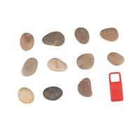 SEWOART Set di 10 Pietre Piatte Naturali E 1 Staffa Ciottoli Creativi per Dipingere Mano Rocce per Giardinaggio Fai da Te Piante in Vaso Acquari per Bambini E Casa