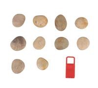 Sewroro 1set Pietre Colorate per Ragazzo Ragazza Pz di Rocce Naturali per Pittura Creativa con Supporto per attività Artistiche Casa e Scuola