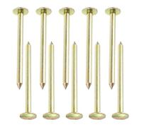 Sewroro Picchetti di Rilevamento Zincati 7 CM Set da 10 Pezzi per Punti di Controllo Marcatori Permanenti e Segnalazione Topografica Strumenti di Marcatura Metallici per Uso Giardino e